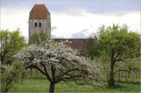 Quelle: Seelsorgeeinheit Meersburg